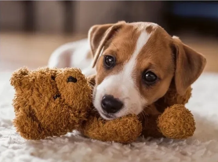 Puzzle Ravensburger Abbraccio caloroso 500 pezzi