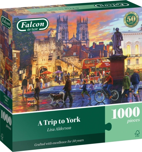 Puzzle Falcon Gita a York da 1000 pezzi
