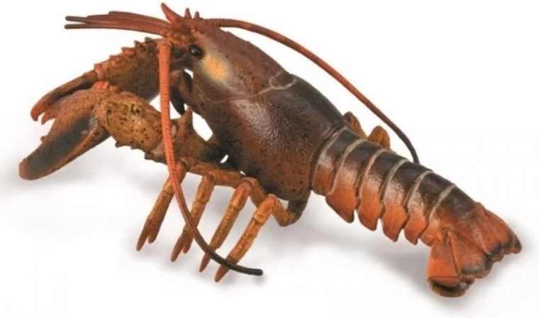 Collecta aragosta – figurina educativa realistica