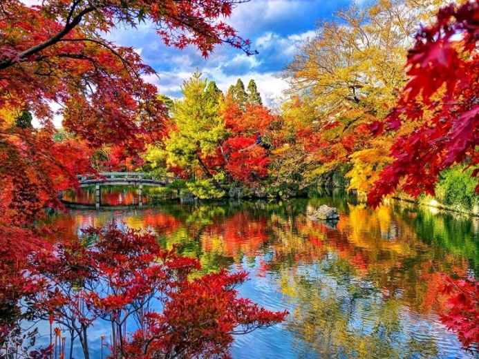 Diamond painting Parco in autunno 40 × 30 cm