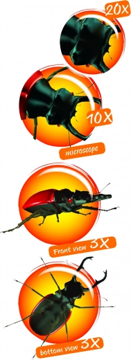 Navir - Bicchiere per osservazione con microscopio