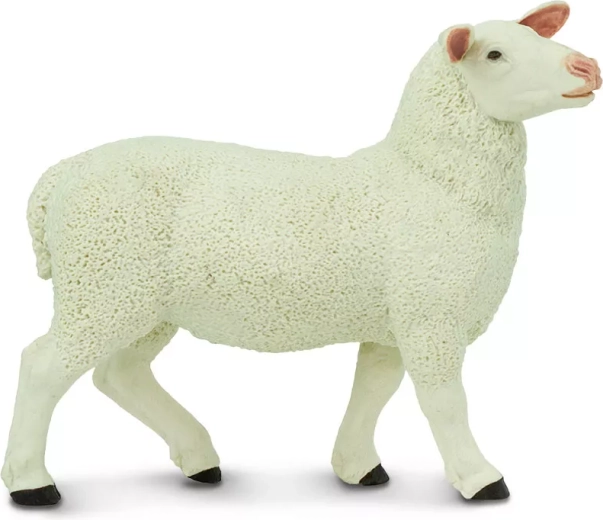 Safari Ltd. figurina di pecora - 1 pezzo