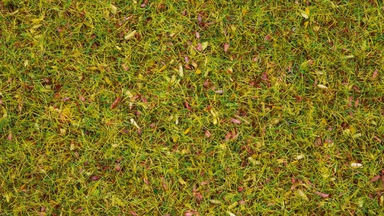 Erba statica Noch prato fiorito 2,5 mm