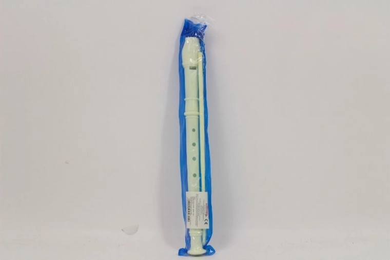 Flauto di plastica