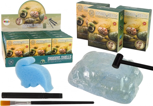 Set archeologico – scavi di conchiglie, 3 modelli a sorpresa