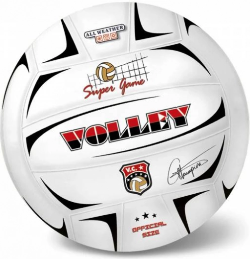 Pallone da pallavolo Champions 21 cm