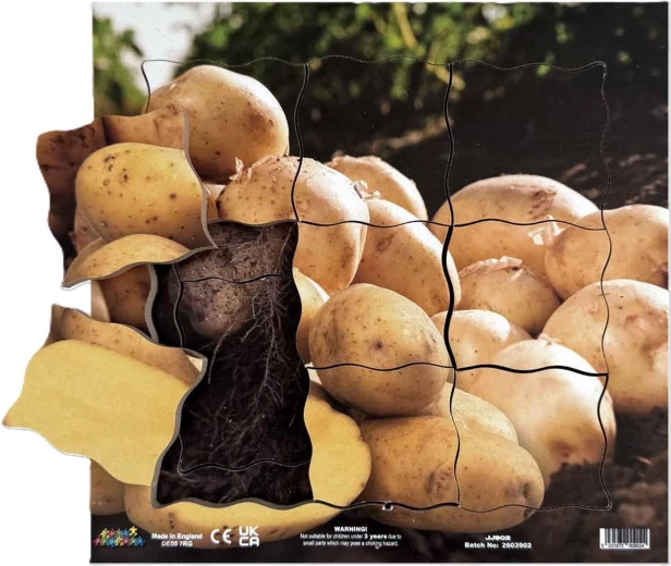 Just Jigsaws La patata e le sue fasi di crescita vegetativa – puzzle stratificato in legno da 19 pezzi