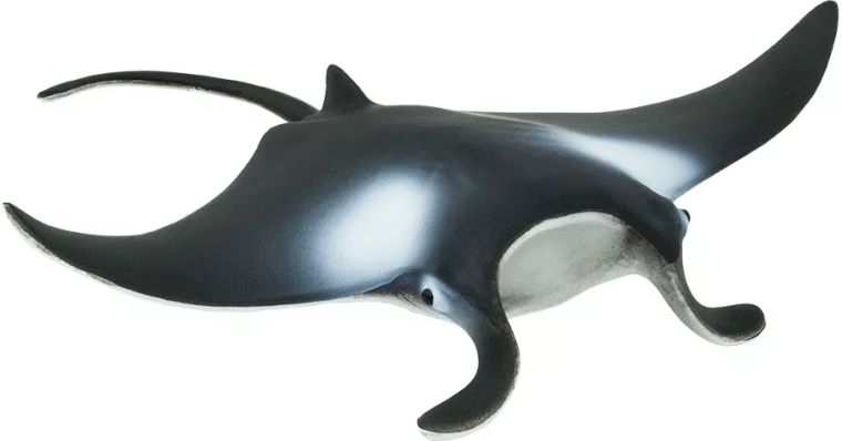 Figurina di manta gigante Safari Ltd. - 1 pezzo