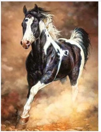 Norimpex Pittura con numeri – cavallo al galoppo nella sabbia 40 × 50 cm