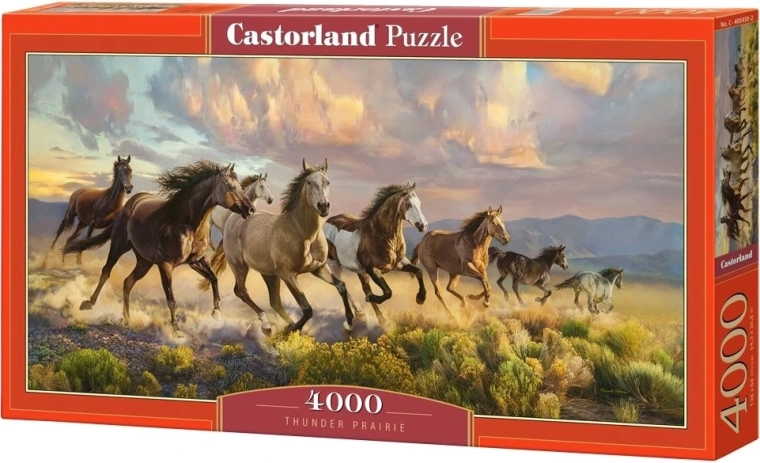 Puzzle Castorland «Prateria ronzante» 4000 pezzi