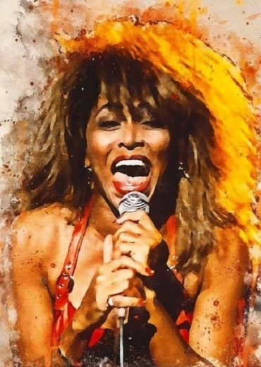 Norimpex pittura con diamanti Tina Turner canta 30 × 40 cm