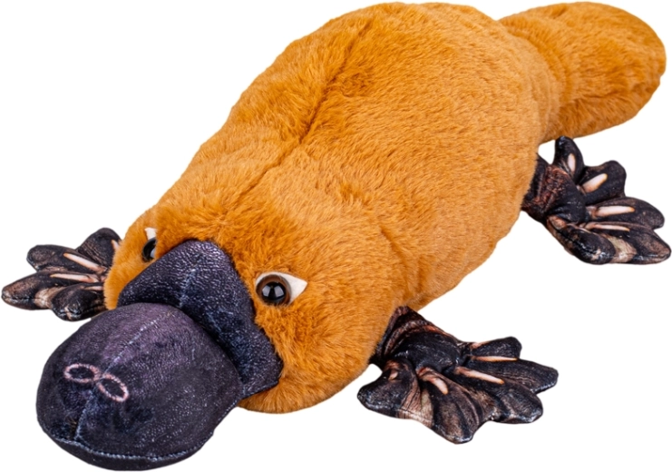 Ornitorinco peluche 50 cm – morbido compagno sdraiato