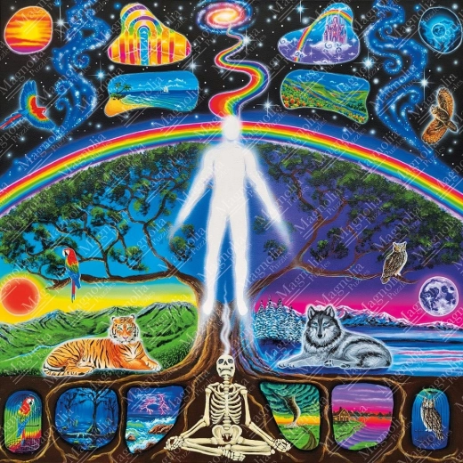 Puzzle Magnolia Il cammino dell’anima 1023 pezzi