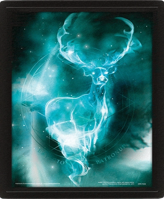 Quadro 3D Harry Potter - Patronus