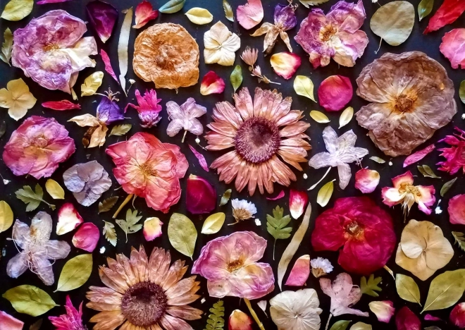 Enjoy puzzle rosa 1000 pezzi