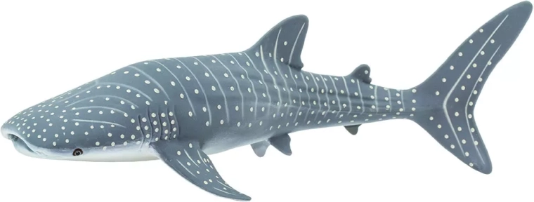 Safari Ltd. figurina di squalo balena - 1 pezzo