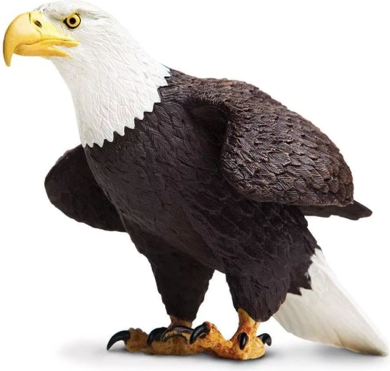 Safari Ltd. aquila calva figurina - 1 pezzo