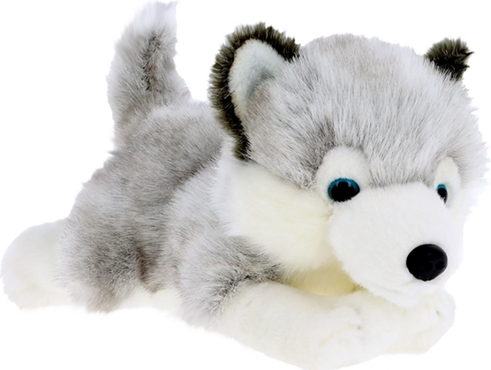 Cucciolo di husky peluche 30 cm KEEL TOYS Signature Forever
