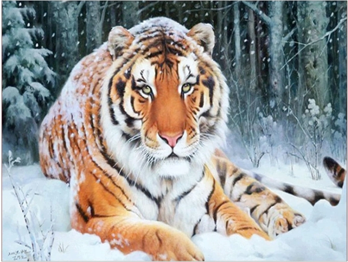 Pittura diamantata Tigre sdraiata nella neve 30 × 40 cm
