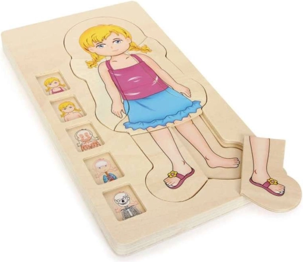 Puzzle anatomico stratificato in legno del corpo di una bambina
