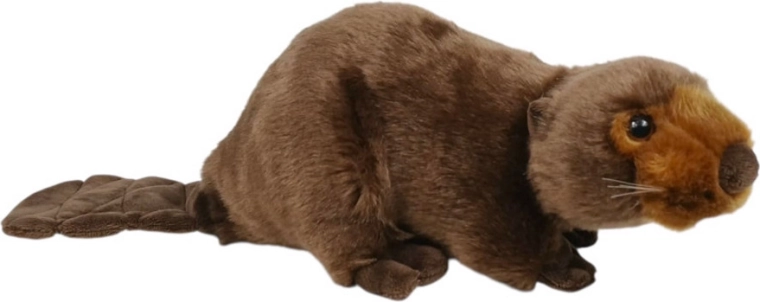 Castoro di peluche 26 cm