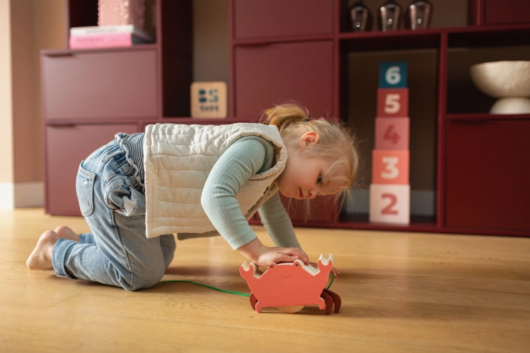 Granchio di legno da trainare