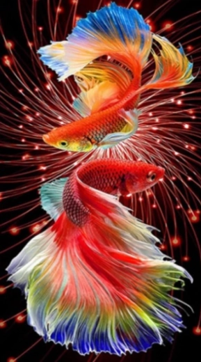 Pittura diamantata Pesci rossi 30 × 40 cm