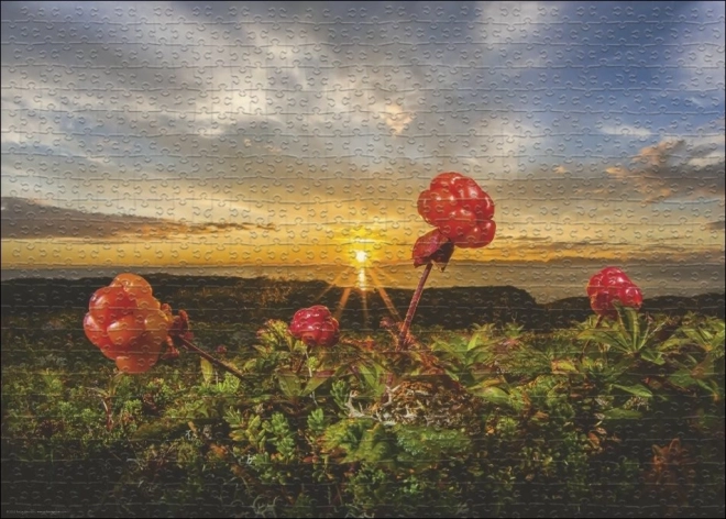 Puzzle Heye More di Bosco Rubus 1000 Pezzi