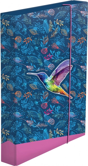 Scatola per quaderni A4 jumbo – colibrì