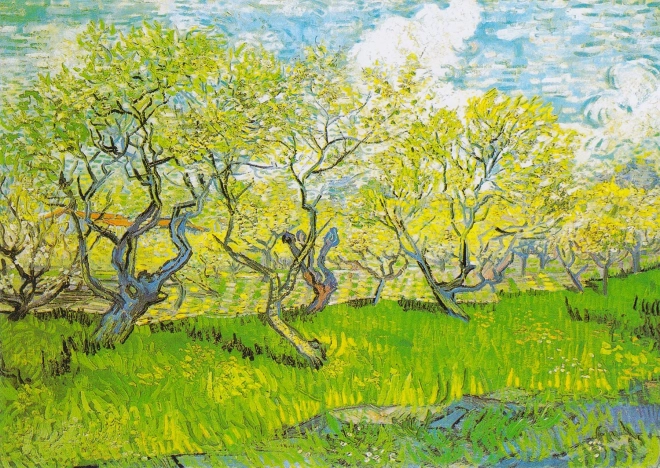 Puzzle Vincent van Gogh: Giardino Fiorito 1000 pezzi