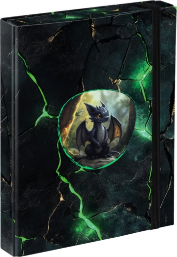 Cartelline per quaderni scolastici A5 BAAGL Draghi