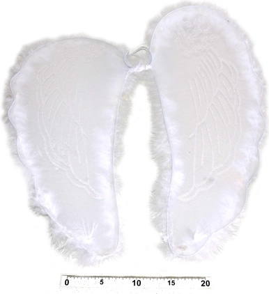 Ali d’angelo con piume 47 × 47 cm