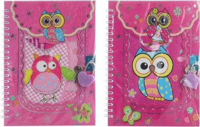 Taccuino con lucchetto con gufetti