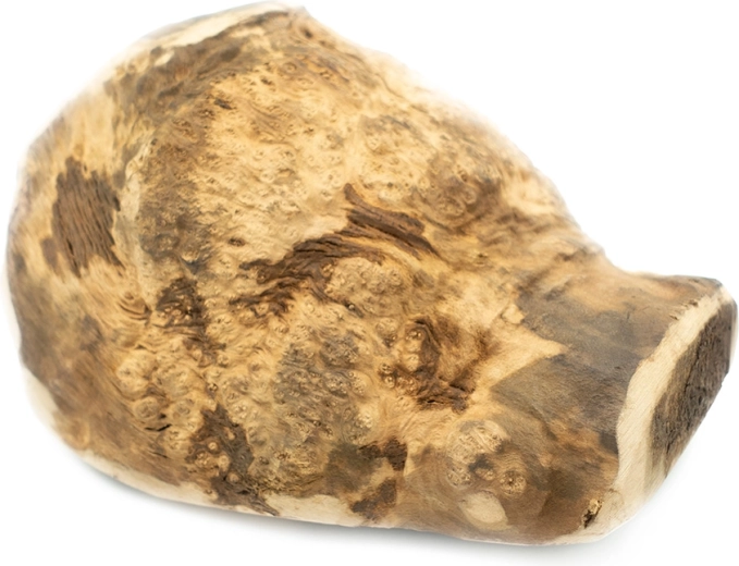 Explorer Dog radice da masticare naturale di erica per cani XL