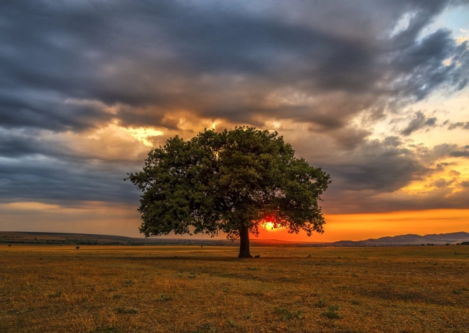 Puzzle Crepuscolo 1000 pezzi ENJOY