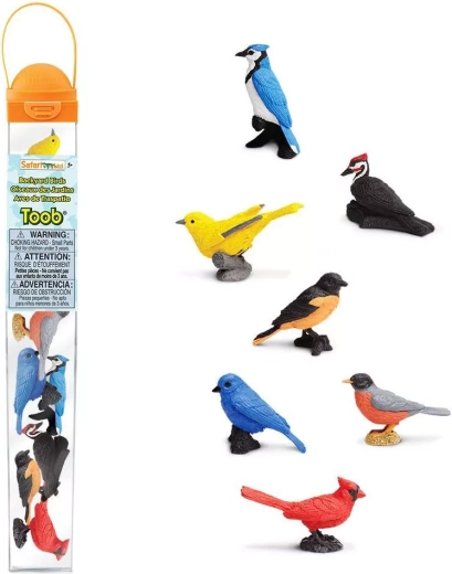 Safari Ltd. TOOBS tubo uccelli
