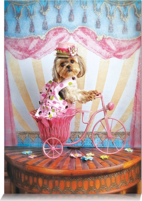 Puzzle Sognatore viaggiatore 500 pezzi