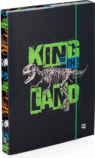 Scatola portaquaderni A4 Premium dinosauro