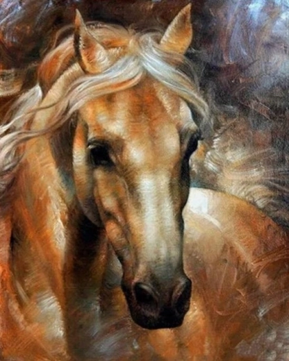 Norimpex dipinto con numeri ritratto di cavallo 40 × 50 cm