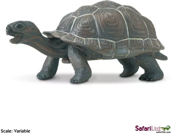 Safari Ltd. cucciolo di tartaruga delle Galápagos, statuina - 1 pezzo