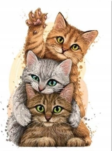Pittura diamantata Piramide di gatti 30 × 40 cm