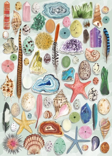 Puzzle Gibsons Curiosità Naturali 1000 Pezzi