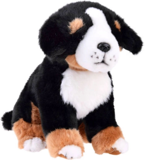 Cane di peluche Bovaro del Bernese - seduto 20 cm