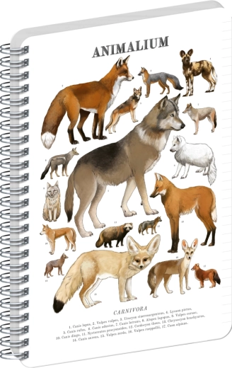 Blocco a spirale Notique Animalium – canidi, rigato, A4