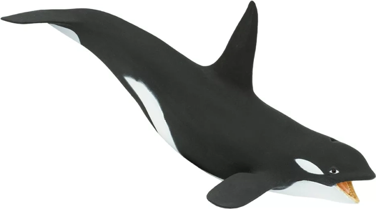 Figura di orca Safari Ltd. - 1 pezzo