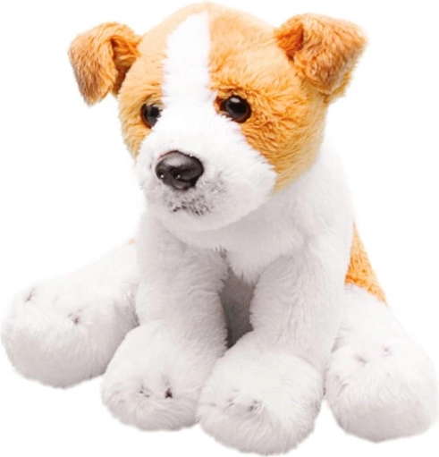 Cane di peluche Jack Russell in peluche premium