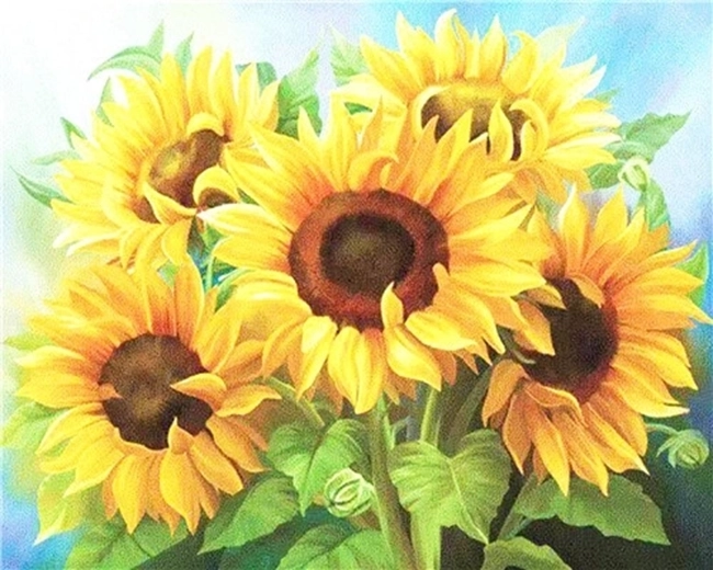 NORIMPEX Dipingere con i numeri Bouquet di girasoli 40 × 50 cm