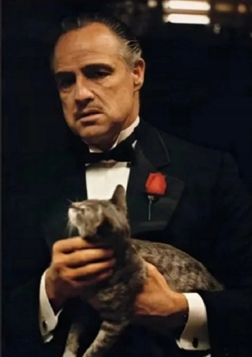 Norimpex Dipingere con i numeri Il Padrino con gatto 40 × 50 cm