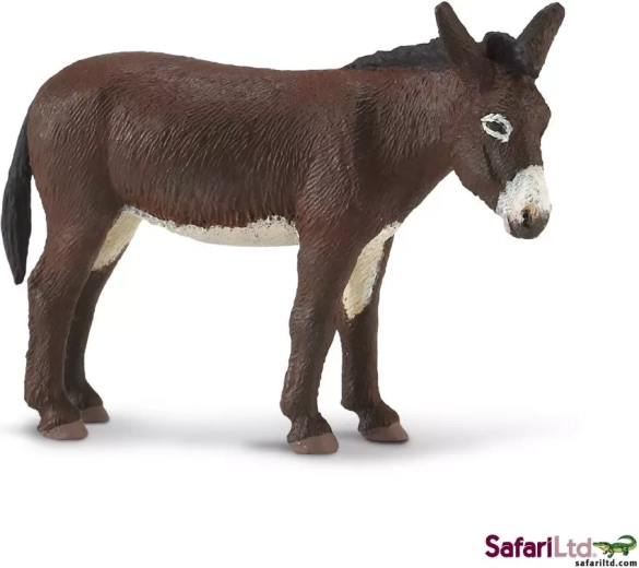 Safari Ltd. asino