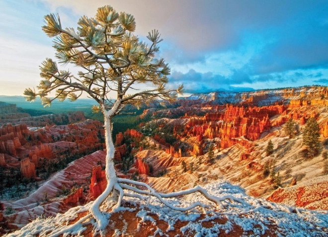 Puzzle EUROGRAPHICS Alba invernale, Bryce Canyon (1000 pezzi)